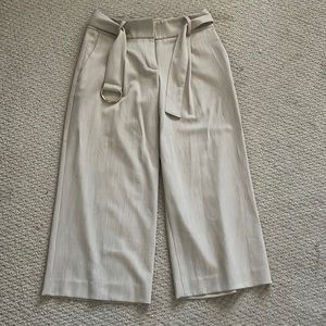 Ann Taylor Petite Dress pants
